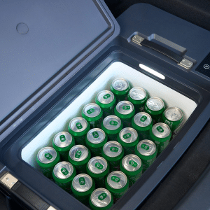 portable freezer trunk 35L