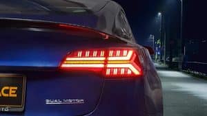 fish bone achterlicht