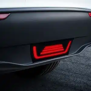 close up Zebra stripe pilot light