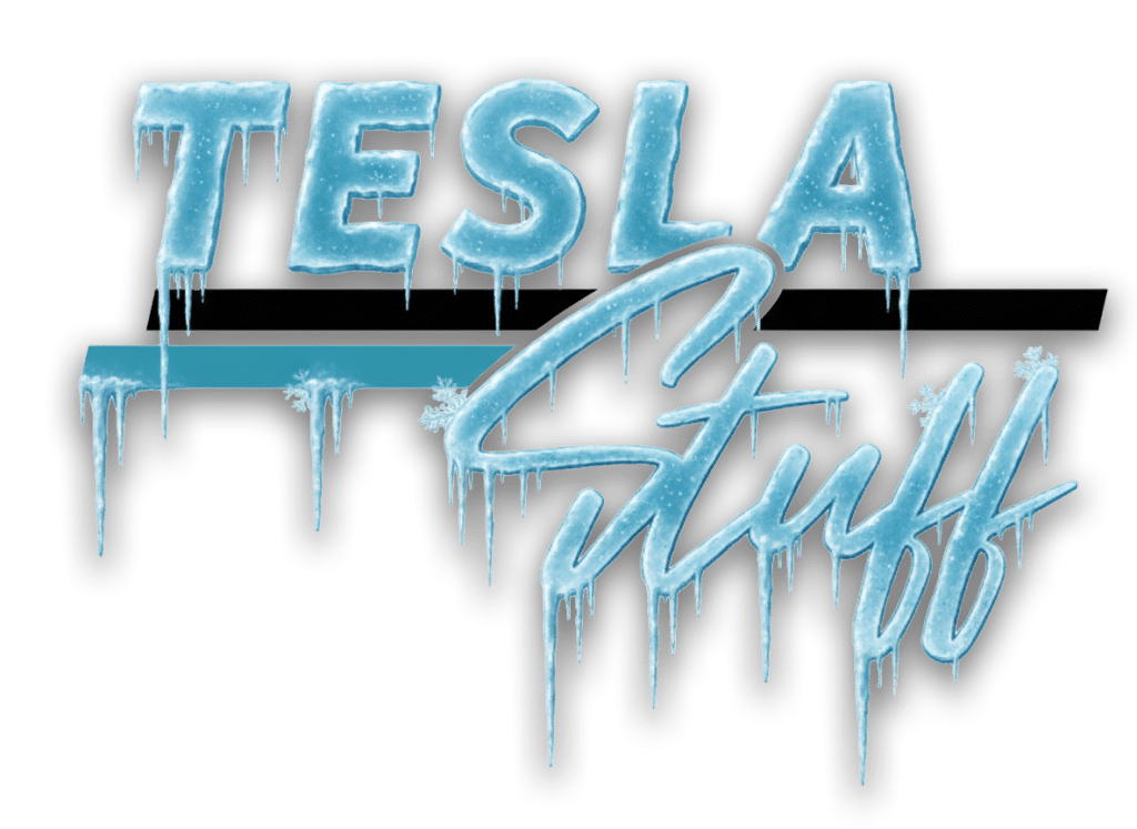 TeslaStuff winterlogo